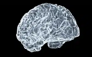 Le sommeil vu par la science