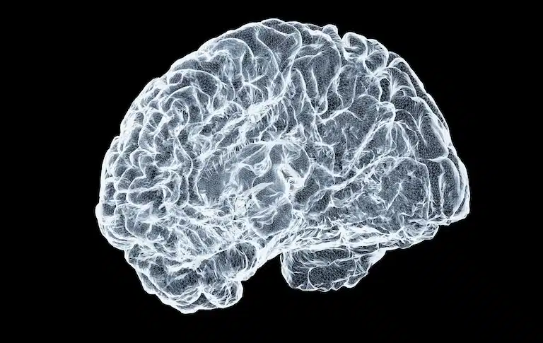 Le sommeil vu par la science