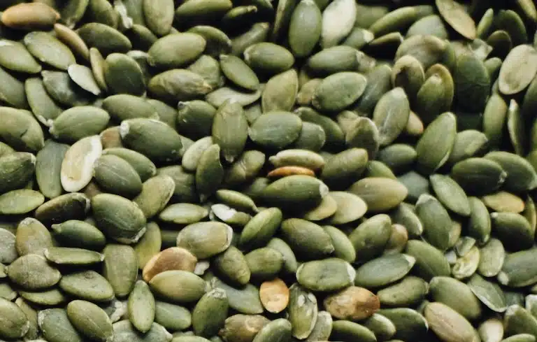 Graine de courge sommeil : toutes les infos