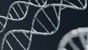 Dormir répare votre ADN